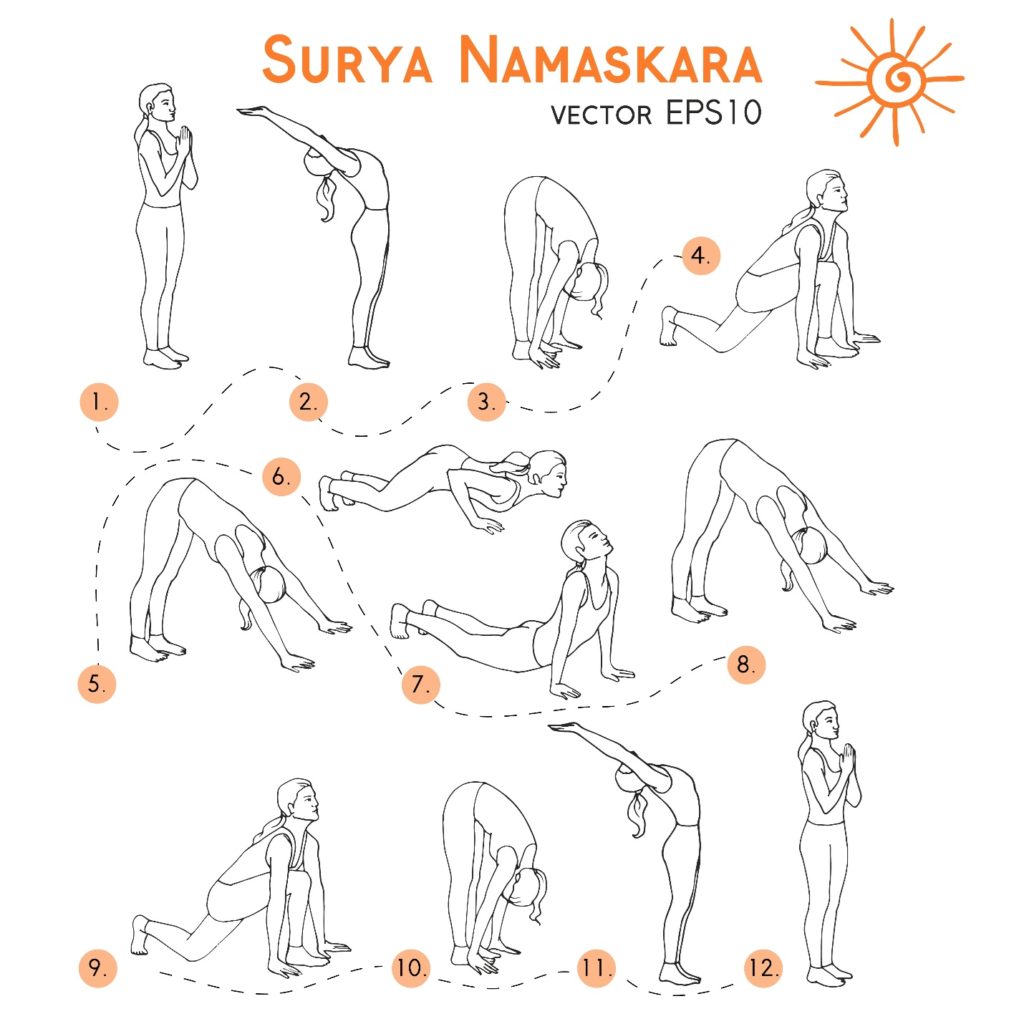 Surya Namaskara - Exercises